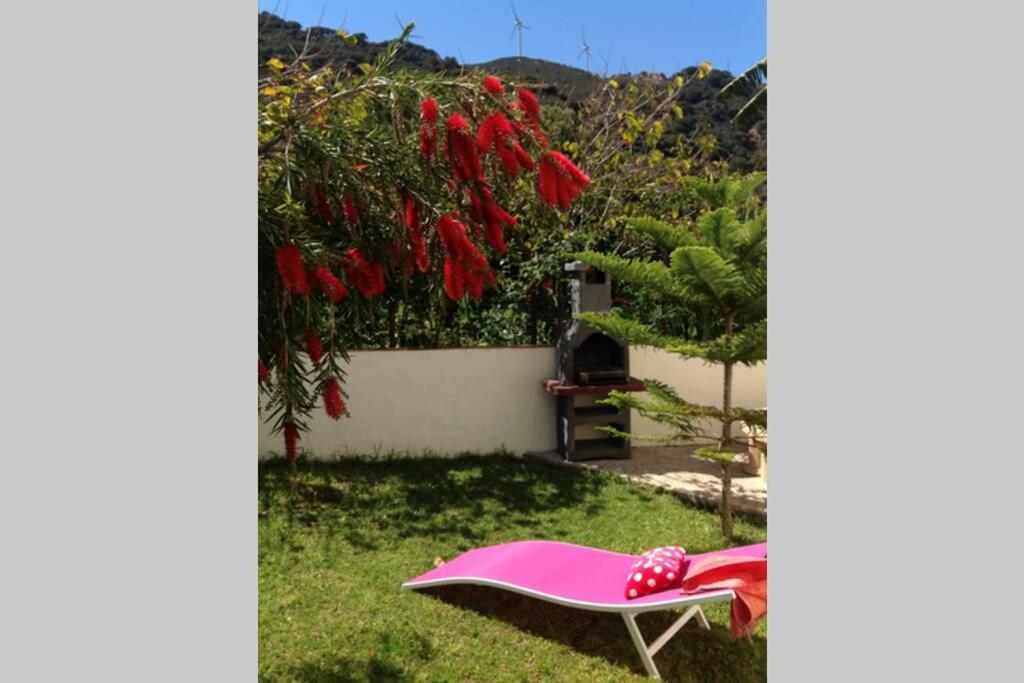 Apartment La Pena Rojo Wifi Tarifa Exterior photo